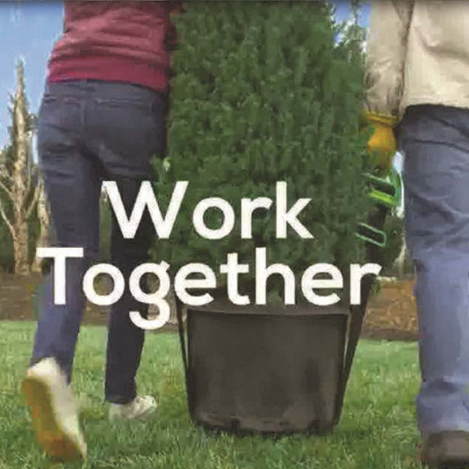 ArtyFeature Furniture Moving Straps